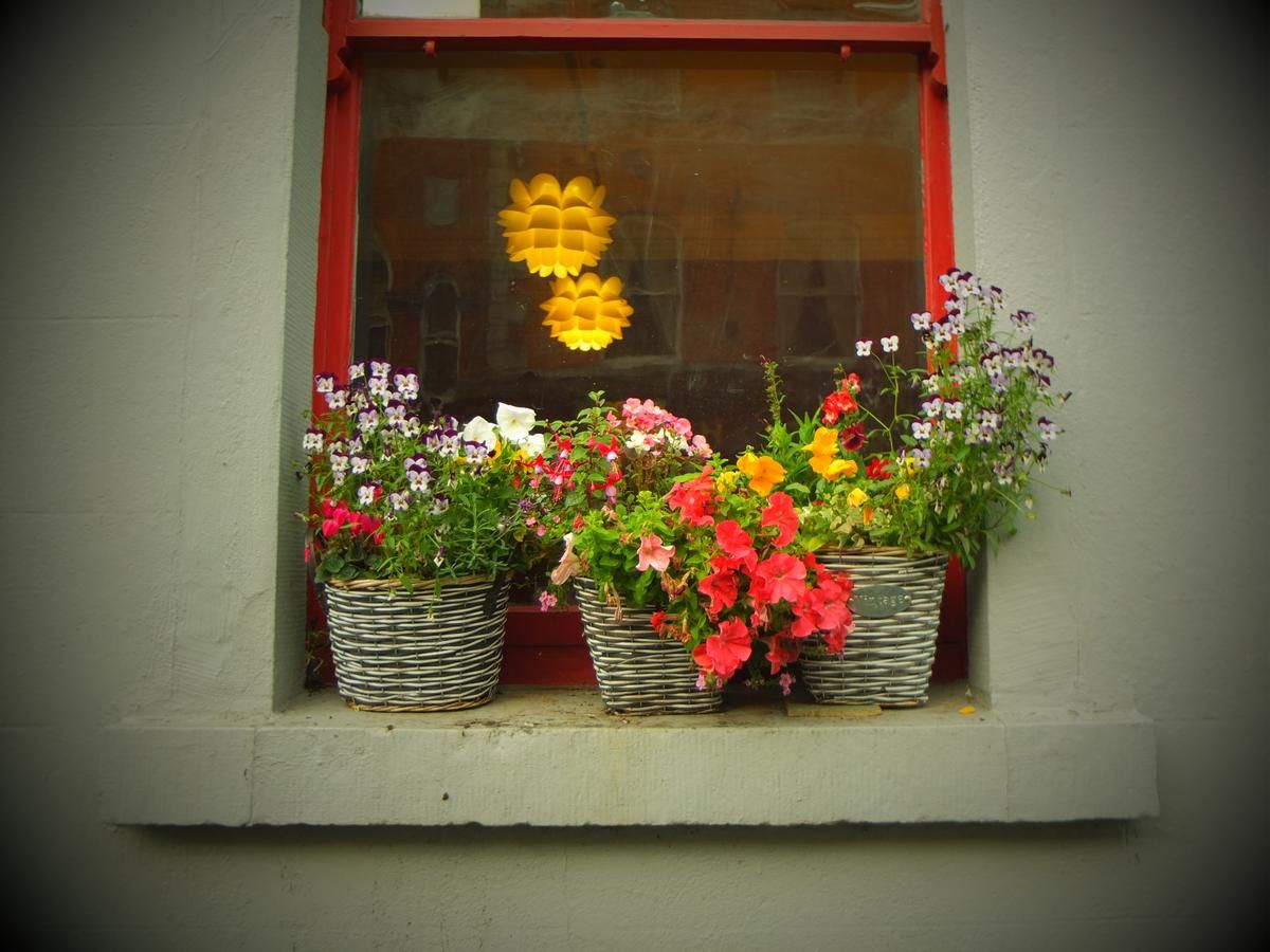 Хостелы Kilkenny Tourist Hostel Килкенни-28